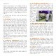 LCB_Newsletter_01_Page_1.jpg