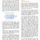Newsletter_2_Page_2.jpg