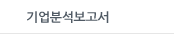 기업분석보고서