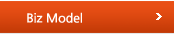biz Model
